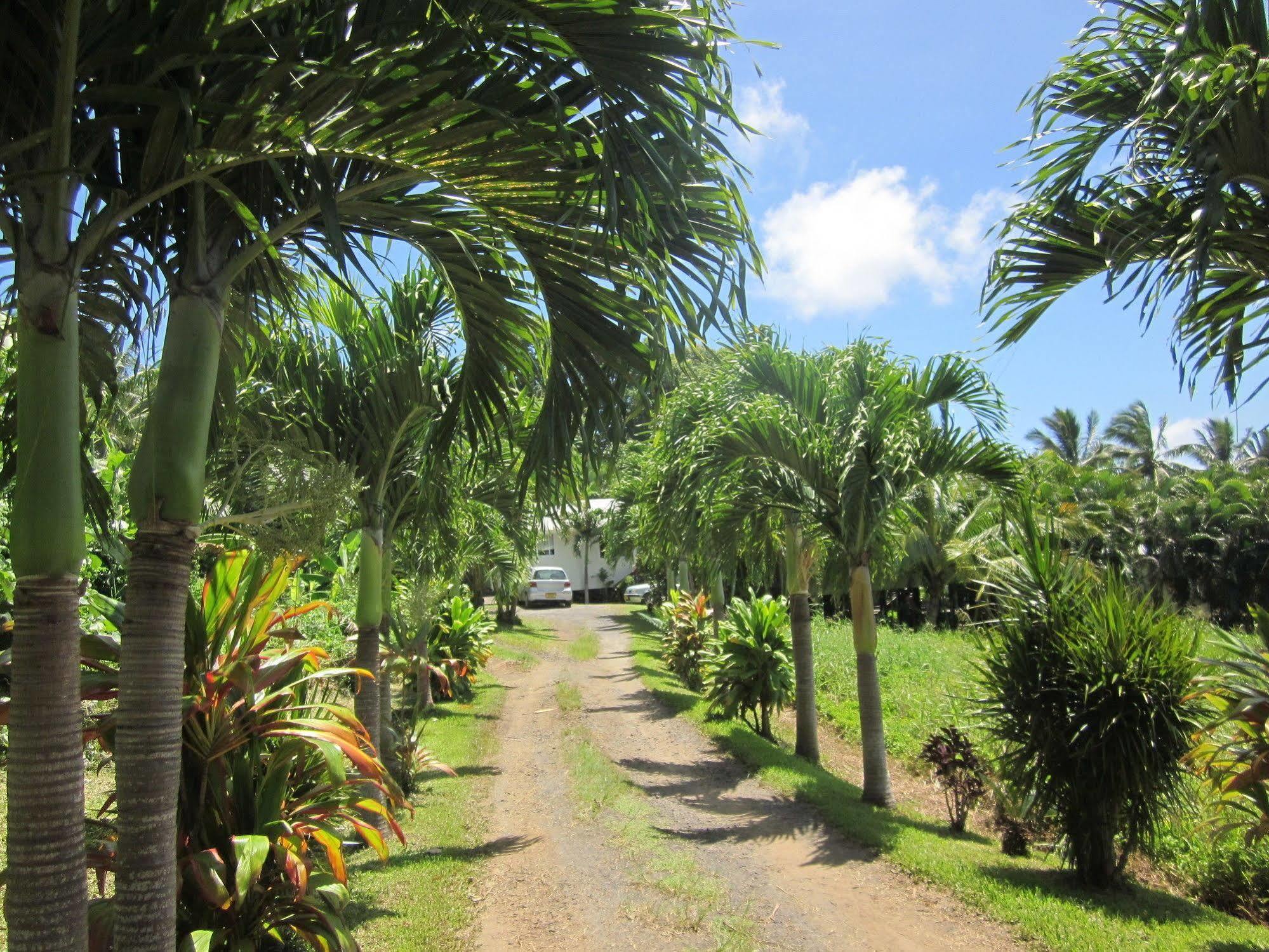Muri Lagoon View Bungalows - Hillside Bungalow Rarotonga Zewnętrze zdjęcie
